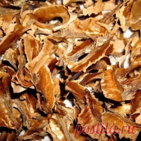 Что можно лечить перегородоками грецких орехов? - МирТесен