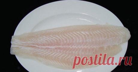 Почему рыбу пангасиус нельзя есть ~