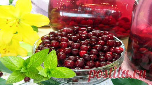 5 Самых вкусных компотов из вишни на зиму. Рецепты компота из вишни | Готовим вместе с Машей Маковецкой | Дзен