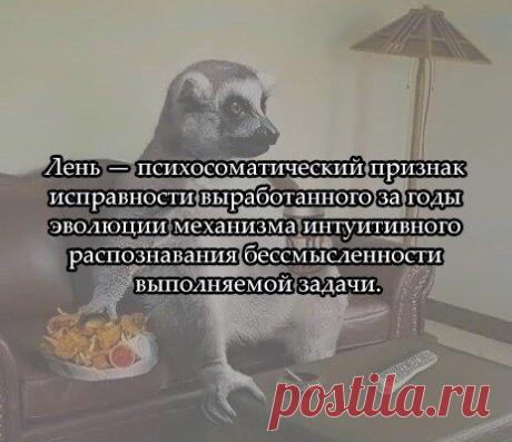 Константин Воробьёв
