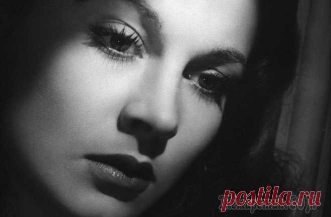 Вивьен Ли: слишком красивая Больше всего на свете она любила театр, котиков и Лоуренса Оливье. Ах, да – и покурить. Одна из самых «театральных» звезд Голливуда. Она показала, какой должна быть настоящая Скарлетт О’Хара, и стала ...