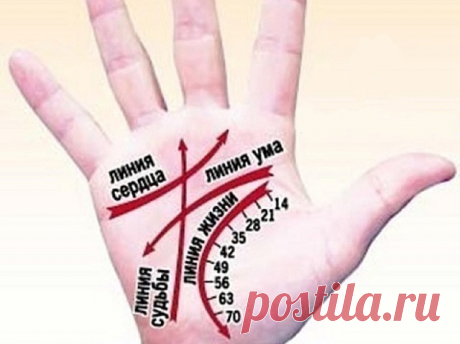 Комментарии к теме