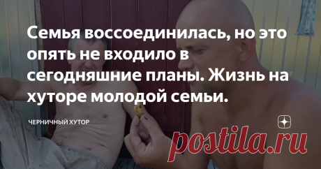 Семья воссоединилась, но это опять не входило в сегодняшние планы. Жизнь на хуторе молодой семьи.