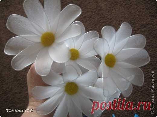 Ромашки из капрона