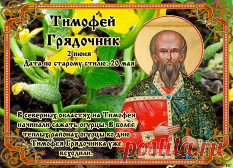 Желаю за мечтой идти,
Не унывать и не сдаваться,
И не сворачивать с пути,
Всегда успеха добиваться.