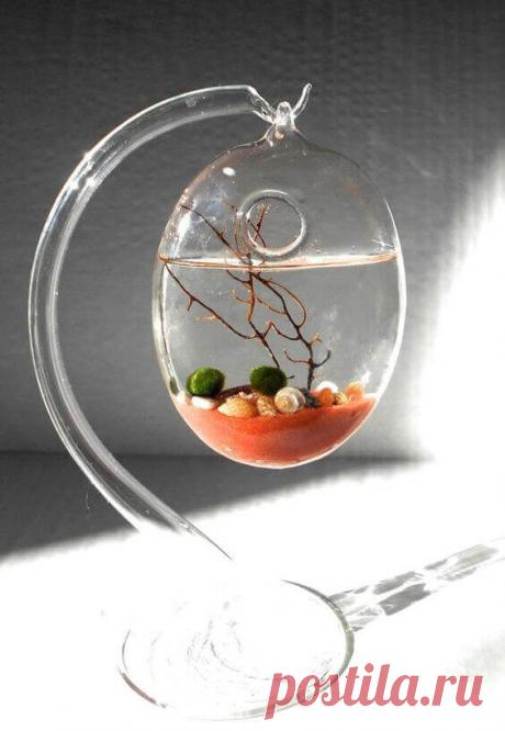 Миниатюрный аквариум как элемент декора ~ Planetalsad