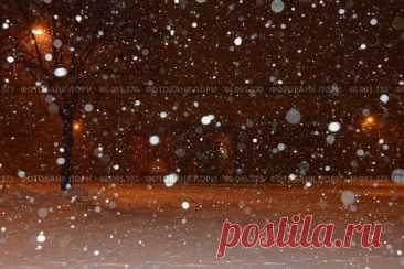 A snowy scene with bare trees in the background. Парк имени 50-летия Октября в Москве ночью зимой. Стоковое фото, фотограф Ilaronsia / Фотобанк Лори