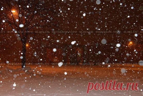 A snowy scene with bare trees in the background. Парк имени 50-летия Октября в Москве ночью зимой. Стоковое фото, фотограф Ilaronsia / Фотобанк Лори