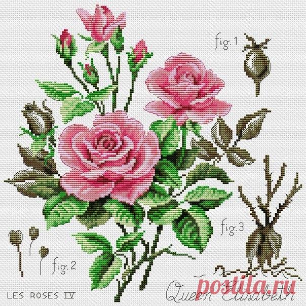 "Хомячки" | рукоделие | схемы | вышивка