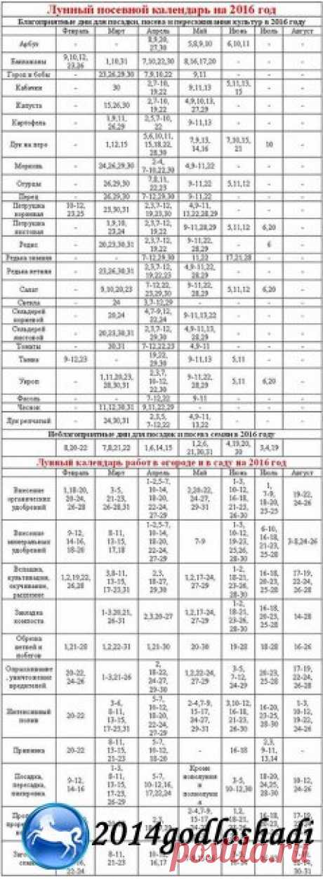 1453052859842lunniyposevnoicalendarna2016goddlyaukrainipomesiacam3.jpeg (239×650)