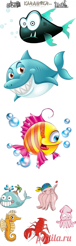 Кладовка...: Морские животные - напрозрачном фоне