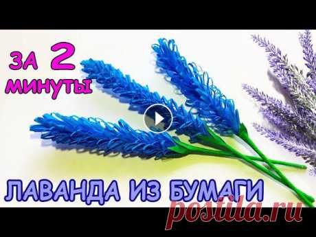 Простые цветы из бумаги! ЛАВАНДА за 2 минуты Lavender from paper ! Flowers from paperВам понадобятся:- цветная бумага- клей-карандаш- ножницы- деревян...