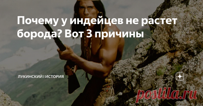 Почему у индейцев не растет борода? Вот 3 причины Статья автора «Лукинский I История» в Дзене ✍: Если посмотреть в фильмах на индейцев Америки, мы увидим мужчин без усов и бород.