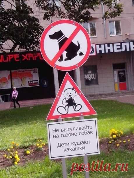 Маразмы месяца