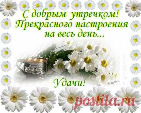 Юлиана Ян - Дрова