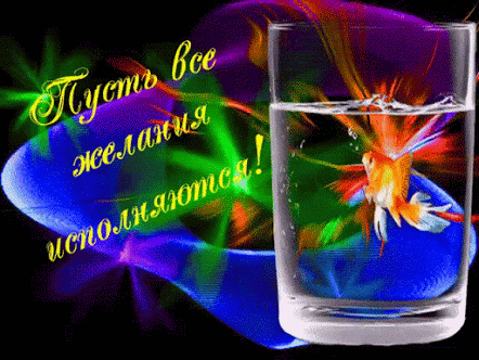 image+%289%29.gif (442×332)