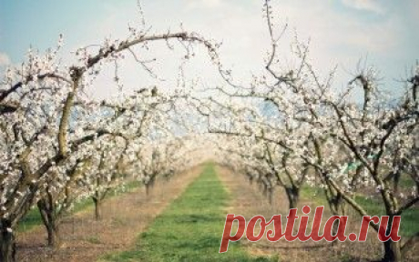 Природа обои. Картинки, фото скачать. Страница 11.