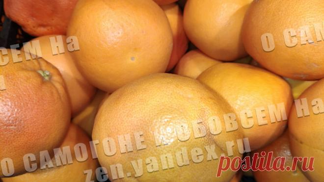 Грейпфрут –идеальный фрукт для настоек. Рецепты грейпфpутовых нacтоек | О САМОГОНЕ и ОБОВСЕМ | Яндекс Дзен