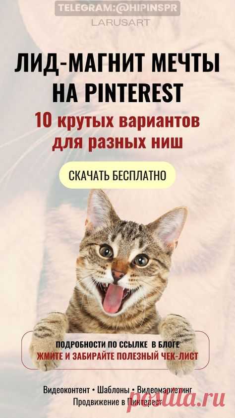 Лид-магнит на Pinterest: 10 крутых вариантов для разных ниш. Какой лид-магнит предложить своим подписчикам? Полезный чек-лист для привлечения клиентов по ссылке в блоге. Создавайте лид-магнит, который будет полезен, цеплять внимание и решать конкретную проблему. Маркетинговые стратегии продвижения, тренды, контент-маркетинг для блога, маркетинг контента и советы для продвижения блога | @larusart | продвижение Пинтерест, Пинтерест продвижение, #продвижение_пинтерест #pinter...