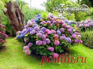 Банк кулинарных рецептов