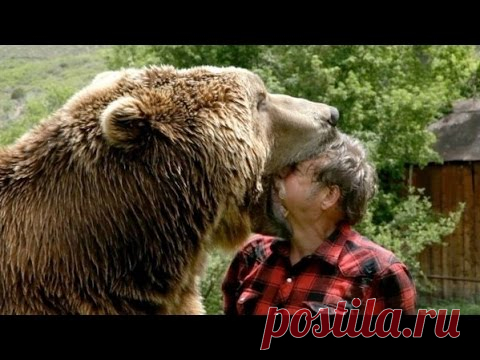 Ах Эта Дикая Природа! В Кругу Друзей — социальная сеть