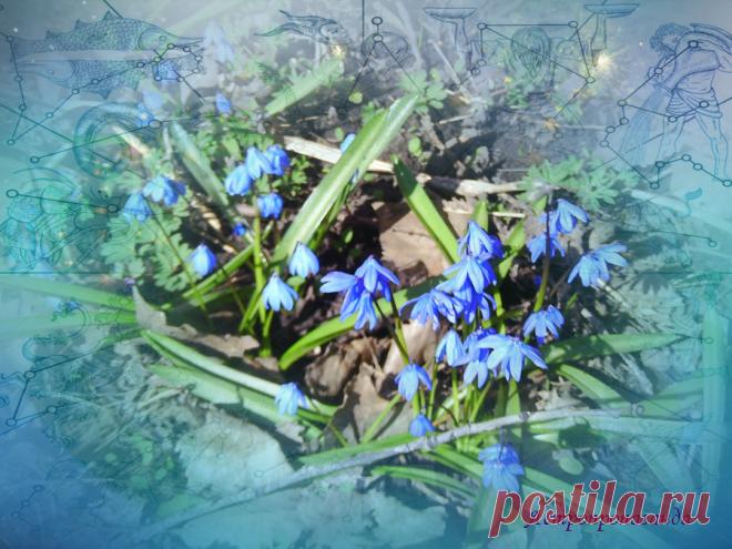 Гороскоп с 3 по 9 апреля 2023. Аспекты и транзиты планет 
✧ Космограмма на середину недели (3 – 9.04.2023) 

✧ С 3 апреля в 19 ч. 23 мин. Меркурий переходит в знак Тельца, где эта планета будет находиться очень долго, до 11 июня 2023. Меркурий в Тельце не способствует быстрой сообразительности и скорости мышления, но он увеличивает способность к сосредоточению. И в это время у большинства людей мысли сосредоточены на материальной сфере и вопросах безопасности...