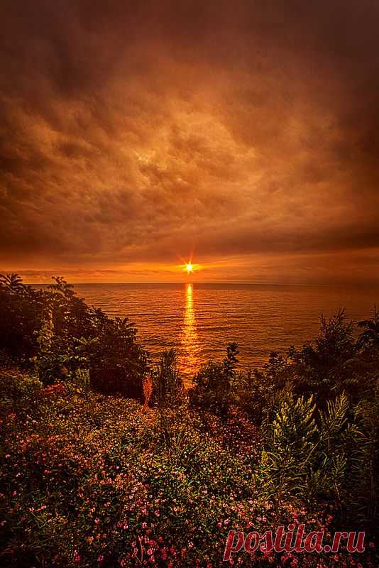 I'll Dream of You Again | Flickr - Photo Sharing!