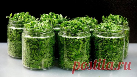 РЕЦЕПТЫ, для которых придумали ЩАВЕЛЬ