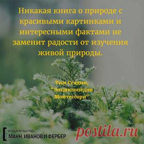 Из бестселлера &quot;Энциклопедия Монтессори&quot; (