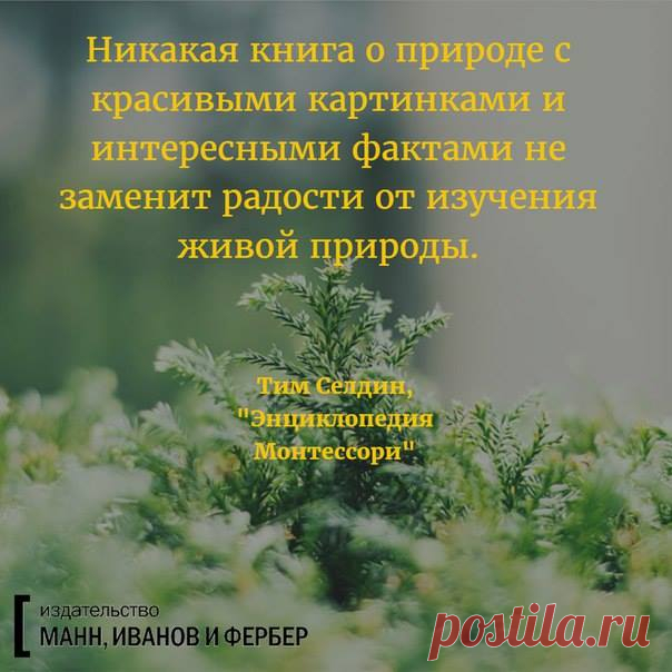 Из бестселлера "Энциклопедия Монтессори" (