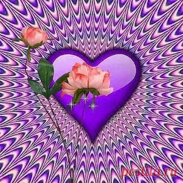 2454974321.jpg (640×640)