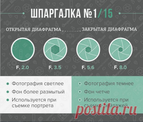 Шпаргалка для фотографов: вспышка, фон и диафрагма