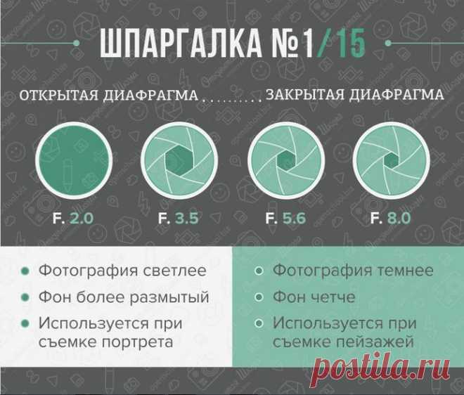Шпаргалка для фотографов: вспышка, фон и диафрагма