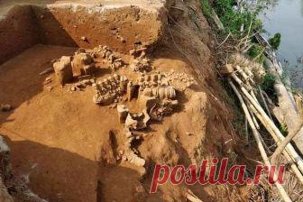 Как в Индии наводнение помогло 