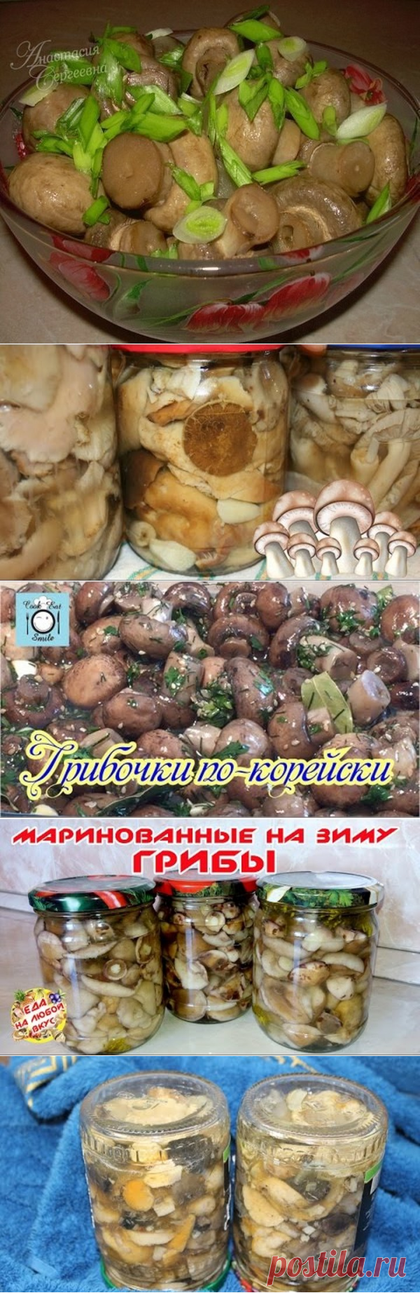 (1) Одноклассники