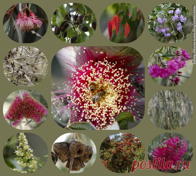 dona_anna | Возвращаясь в Национальный дендрарий.