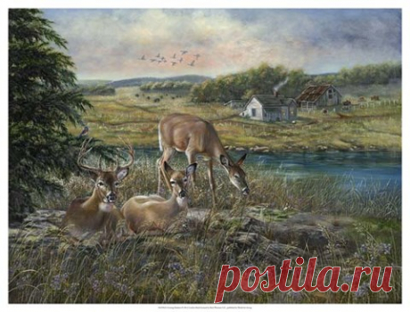 Evening Shadows Fine Art Print by Carolyn Mock at FulcrumGallery.com
