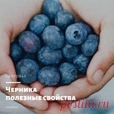 Черника полезные свойства. Черника обыкновенная или черника миролистная (лат. Vaccinium myrtillus) – представляет собой низкорослый многолетний кустарник семейства Вересковые.