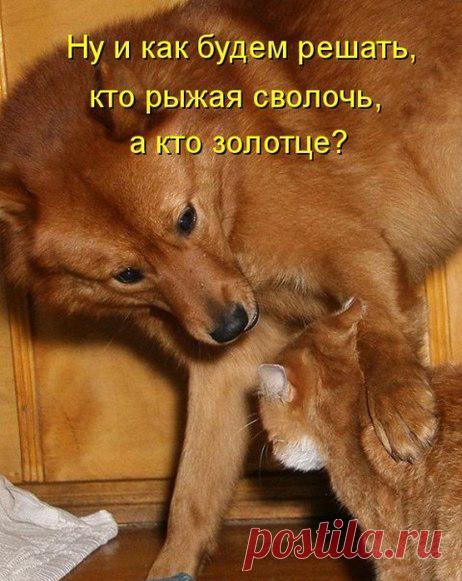 Лилия Советкина | ВКонтакте