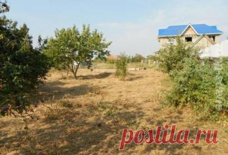 Земельный участок в ДНТ Южное. Красный и ДНТ Южное