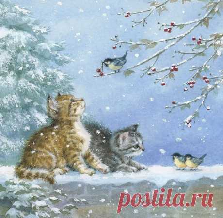 кошки  и птички