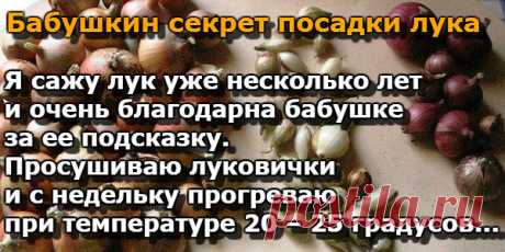 (16) Одноклассники