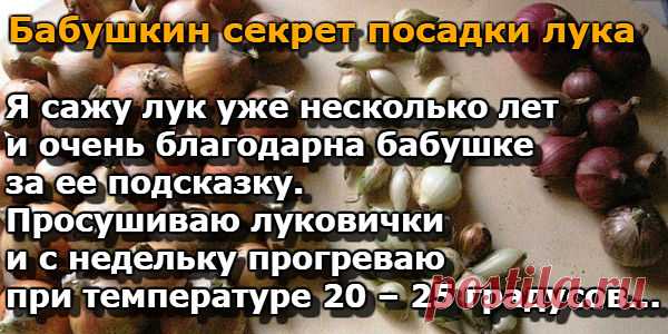 (16) Одноклассники