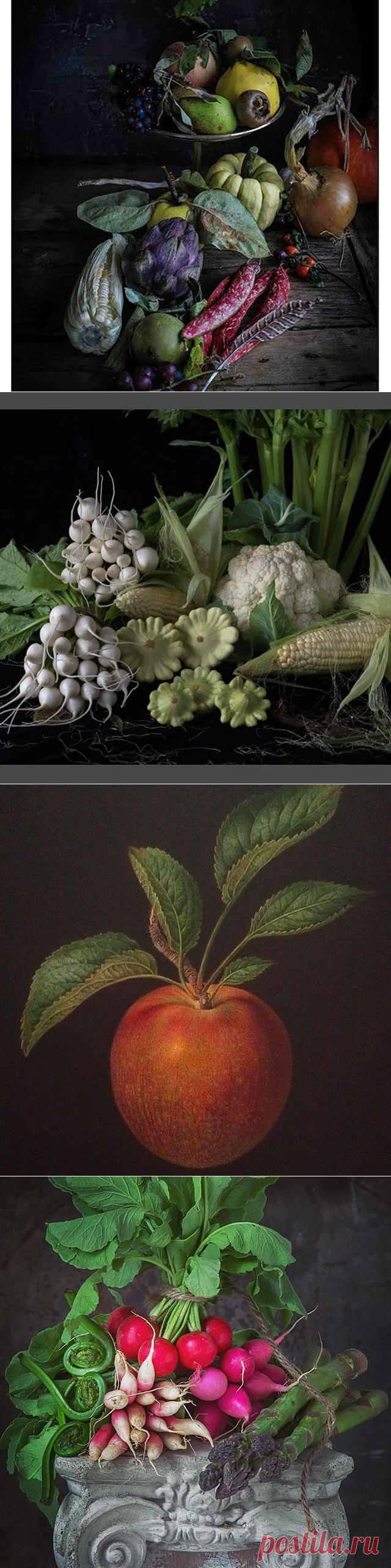 Pakira (@pakiradekor) • Фото и видео в Instagram