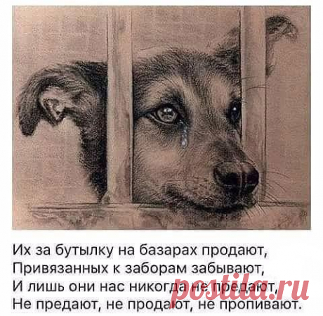 хх