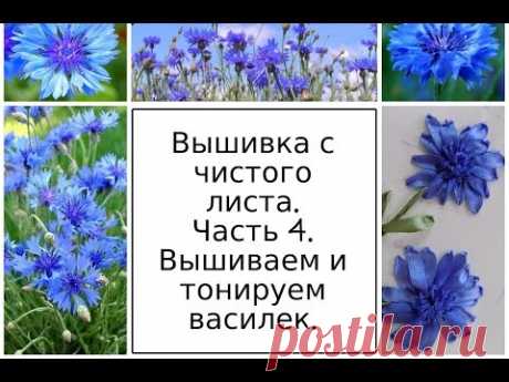 МК. Вышивка с чистого листа. Часть 4. Вышиваем и тонируем василек. Разживалова Наталья