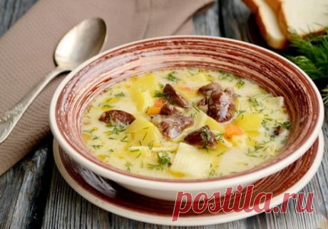 Суп из куриных сердечек – 8 вкусных рецептов с фото