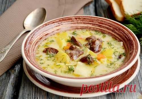 Суп из куриных сердечек – 8 вкусных рецептов с фото