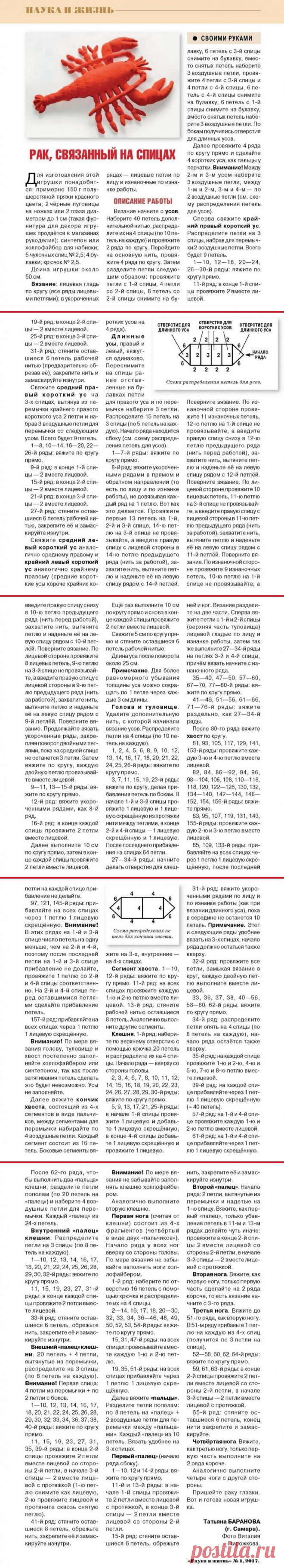 Рак, связанный на спицах