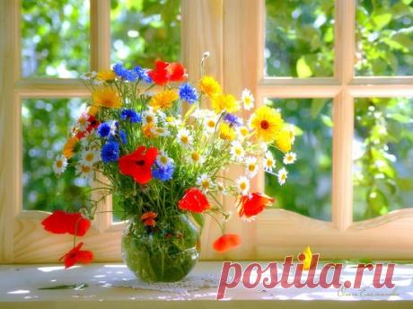 Пусть день начнется ...уютно...Радости и счастья всем...